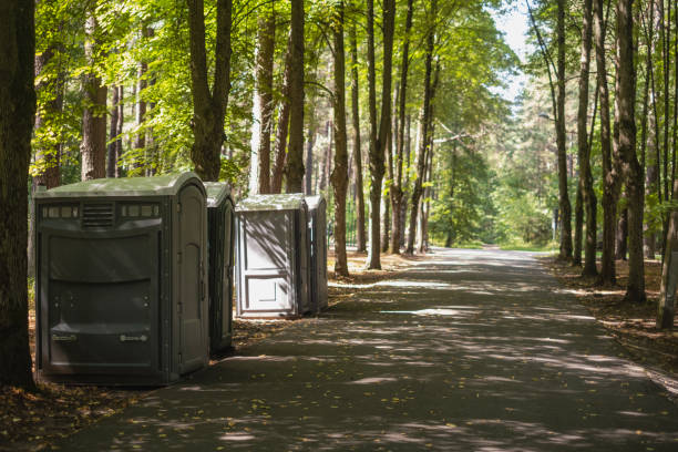 Best Affordable portable toilet rental  in Cartervle, IL